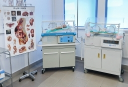 Galeria | WUMed | Pracownia położnictwa | Zdjęcie: 15