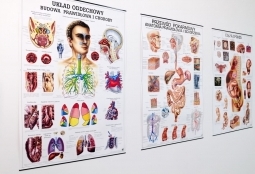 Galeria | WUMed | Pracownie Pielęgniarstwa i Położnictwa | Zdjęcie: 59