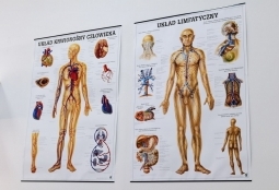 Galeria | WUMed | Pracownie Pielęgniarstwa i Położnictwa | Zdjęcie: 72